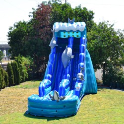 19ft Dolphin Dive Slide (Wet/Dry)