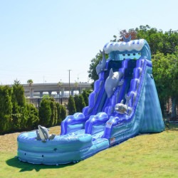 flipper2 1721954466 19ft Dolphin Dive Slide (Wet/Dry)