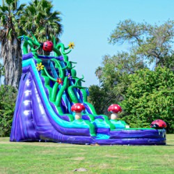 19Ft Enchanted Forest Slide (Wet/Dry)