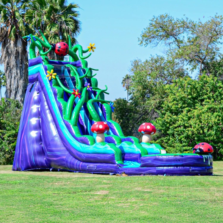 Enchanted Forest 19ft water slide