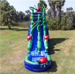 download202 1751640912 Enchanted Forest Water Slide (Wet/Dry)
